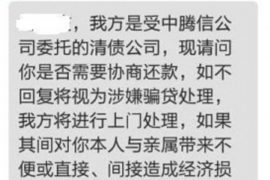 顺城如何避免债务纠纷？专业追讨公司教您应对之策