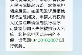 顺城遇到恶意拖欠？专业追讨公司帮您解决烦恼